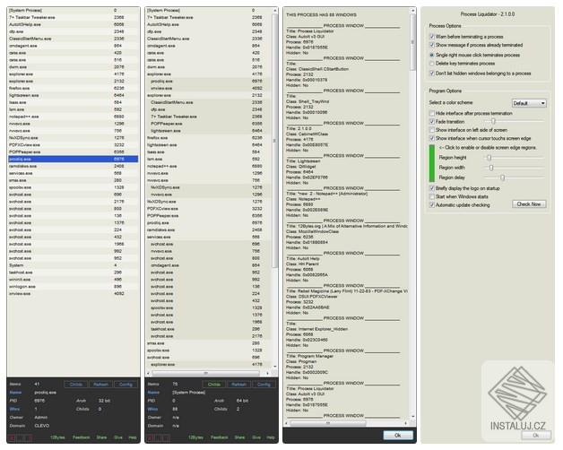 Process Liquidator